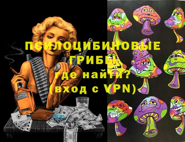 гидропоника Новокубанск