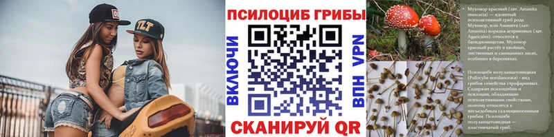 Псилоцибиновые грибы мухоморы  Купить  Приозерск 